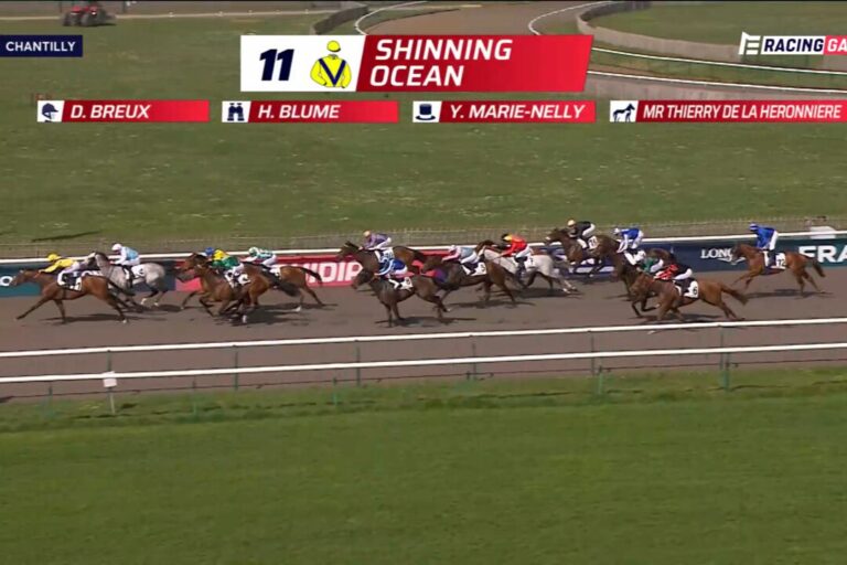 Blumes Quinte-Sensation: Shinning Ocean für 435:10