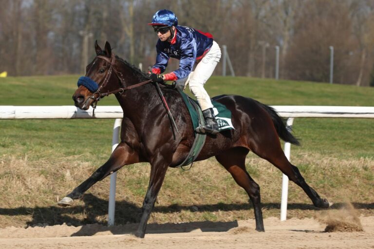 Grewe auf Weg zum Champion? Shootout holt fünften Sieg 2025 in Stall
