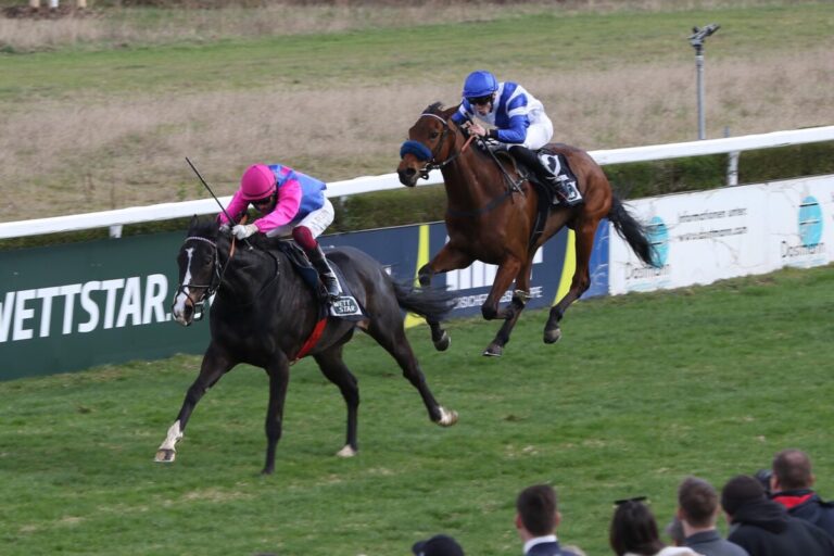 Woody Wood siegt unter Andrea Ricupa