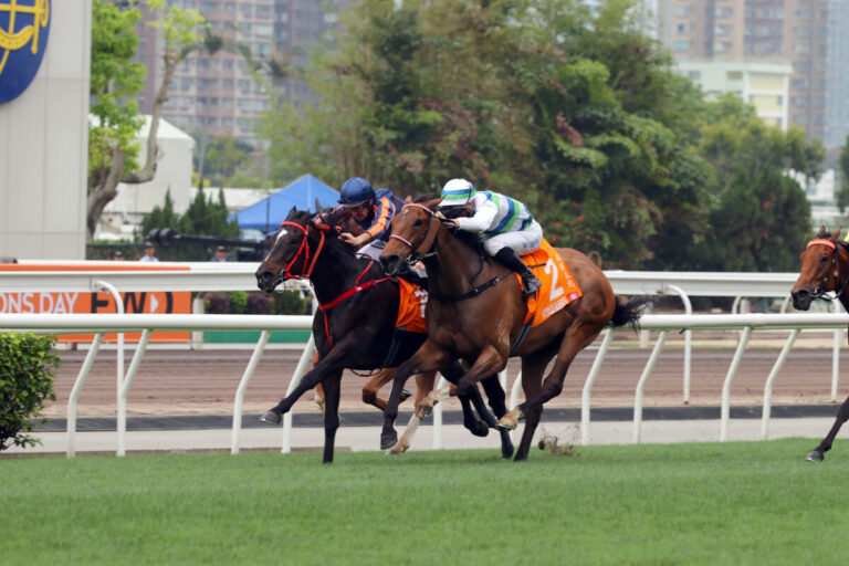 „Race of his life!“ – Red Lion setzt Sha Tin für 908:10 in kollektiven Schockzustand