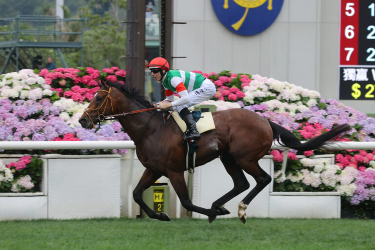 Calif sensationeller Dritter, Goliath ohne Chance – Tastiera gewinnt