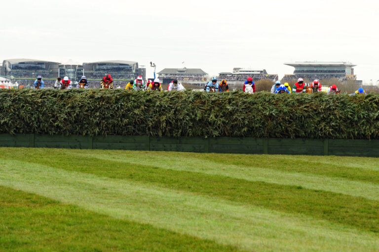 Der Blick auf Bechers Brook in Aintree Foto: Sorge
