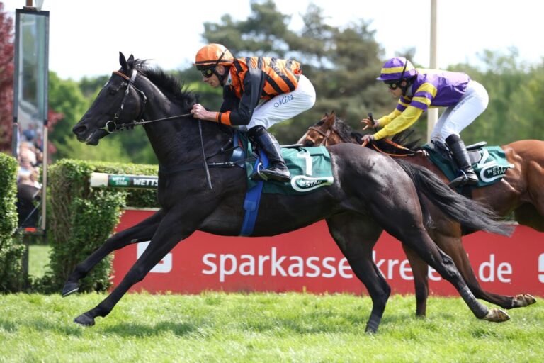 Black Phantom rauscht für Stall Phantom – „Hab mir etwas Zeit genommen“