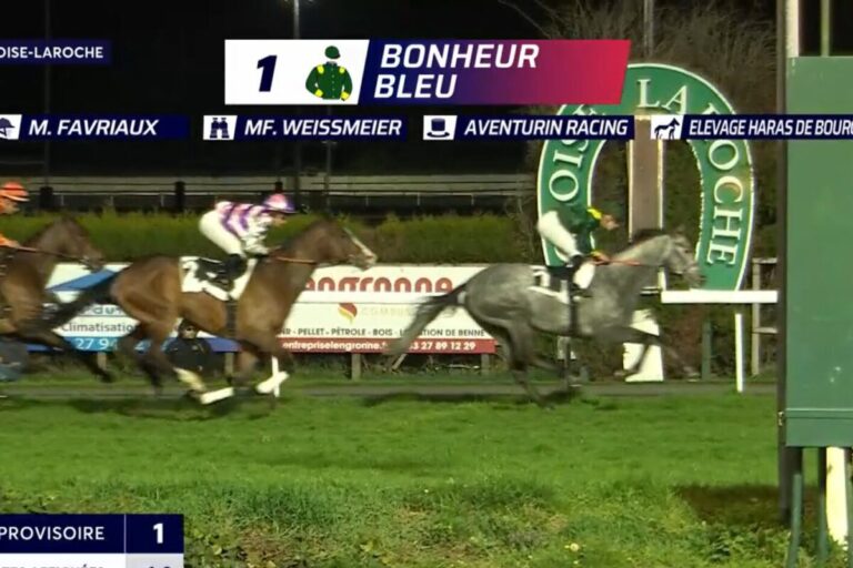 Bonheur Bleu siegt beim ersten Start für Marian F. Weißmeier