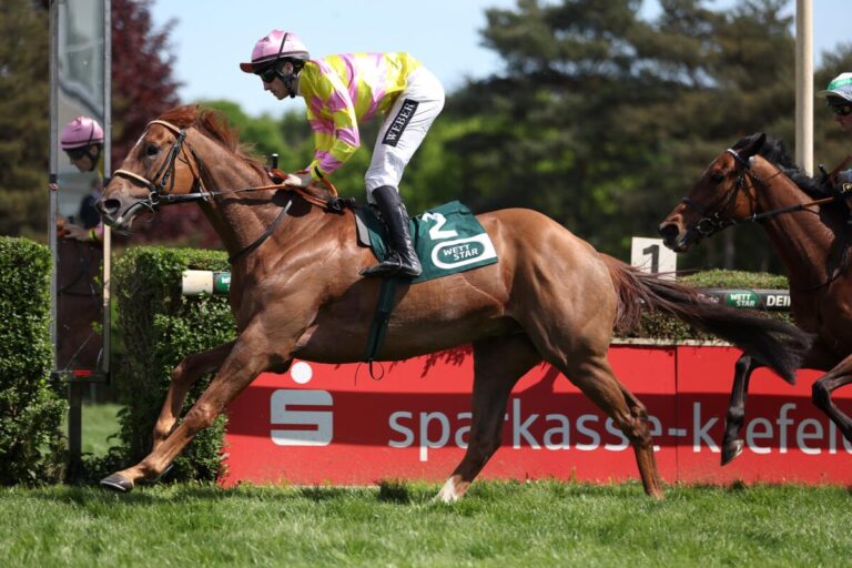 Nach 13 Jahren wieder Stall Hexenberg-Sieg in Deutschland