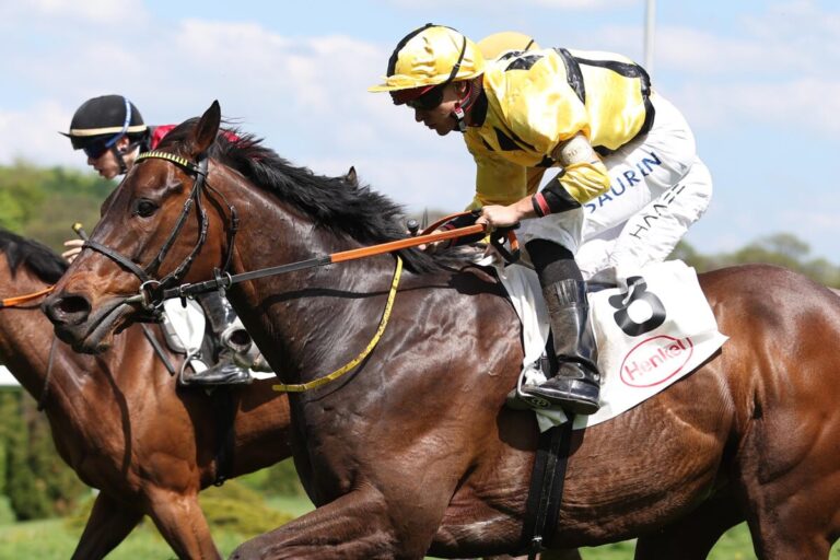 Um die Ecken geht es – Asaaleeb gewinnt für Hinzmann