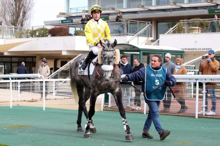Ab Mitte April in Frankreich – Farbige Westen für Pferdeführer