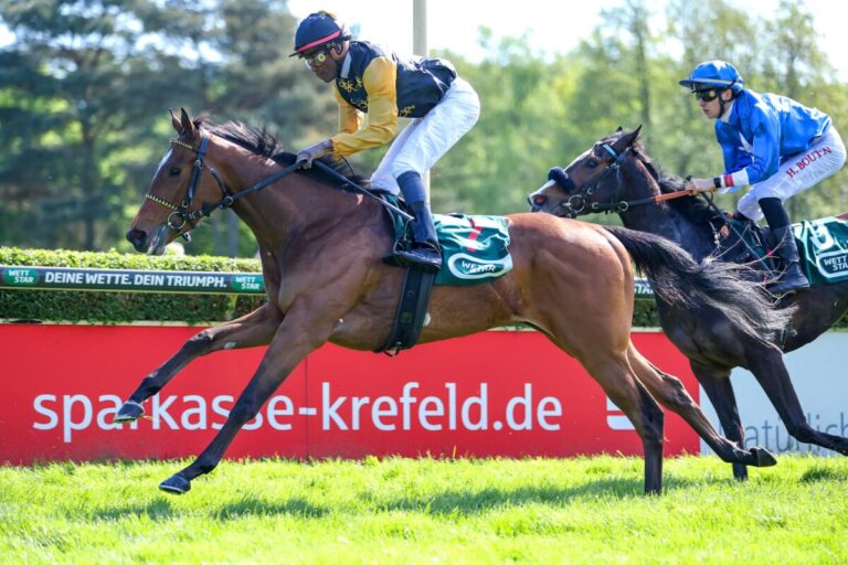 Nach Vorstarterangabe: Neun für Dresdener Auktionsrennen