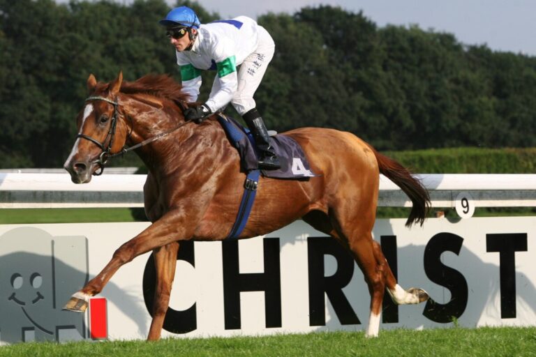 Monsun-Sohn Schiaparelli mit erfolgreichem Monat im Hindernissport