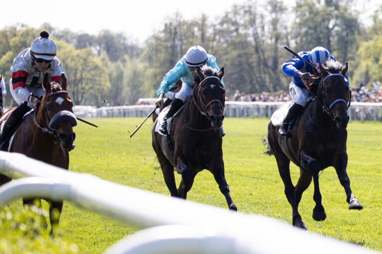 Krass: Fünf Gruppesieger im Preis von Dahlwitz