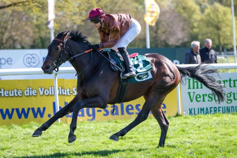 Trendbarometer: Wer gewinnt am Montag die Union in Köln?