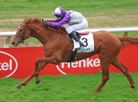 Alpenjäger (Archiv)