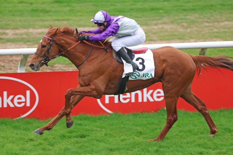 Schiergen weiter on fire – Alpenjäger legt für Asterblüte-Coach nach