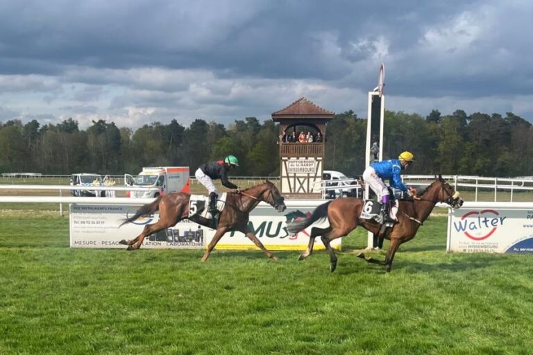 Gerald Geislers Bandida Estrellita siegt in Wissembourg