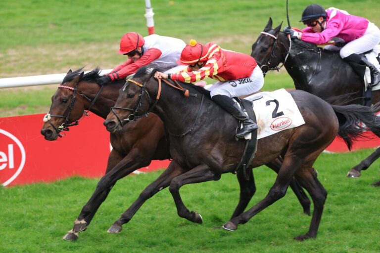 16 Nennungen für Kalkmann-Frühjahrs-Meile