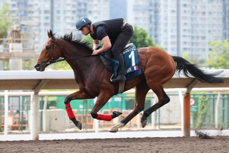 Goliath Foto: hkjc.com