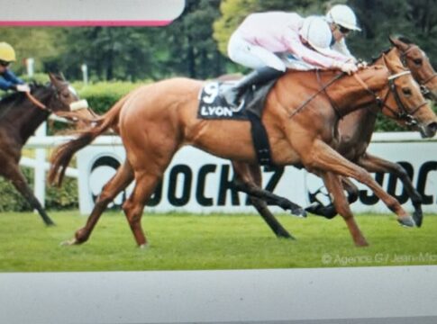 Picobella Rosa siegt (Foto screenshot jour de galop)