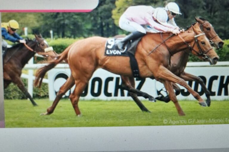 Picobella Rosa siegt (Foto screenshot jour de galop)