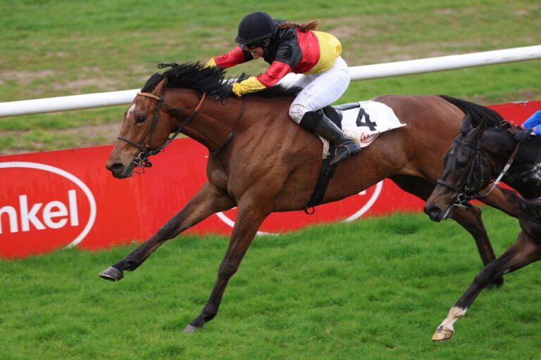 Deutscher Fegentri-Sieg: Boysen siegt mit Rockstar Martini