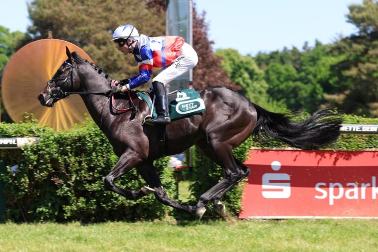 Ascot Royal siegt unter David Liska