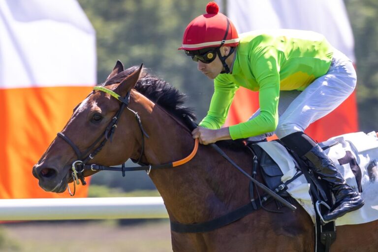 Cherub Rock siegt unter Corentin Berge