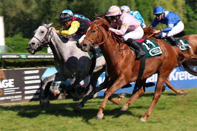 Darling Jay siegt unter Wladimir Panov