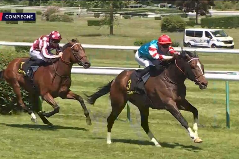 Mr Hollywood vom eigenen Stall geputzt, Stingray Sechster