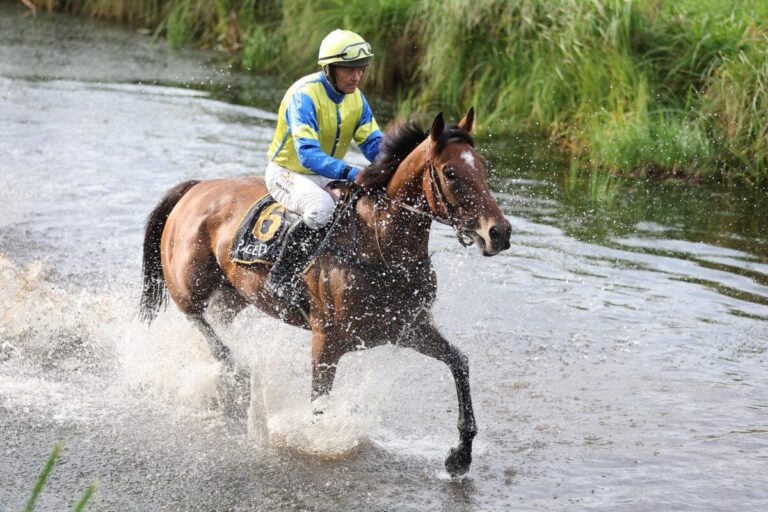 Innovante verteidigt See-Titel in Quakenbrück – Sabalan letzter Flachsieger