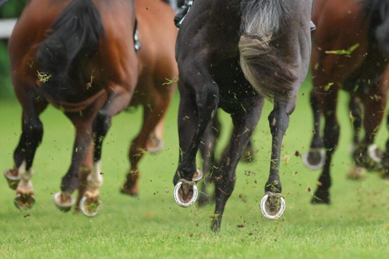 Renntag Vichy abgebrochen – rutschiger Boden führt dazu