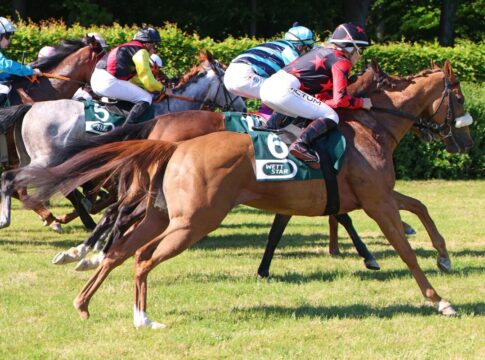 Galopp in Krefeld