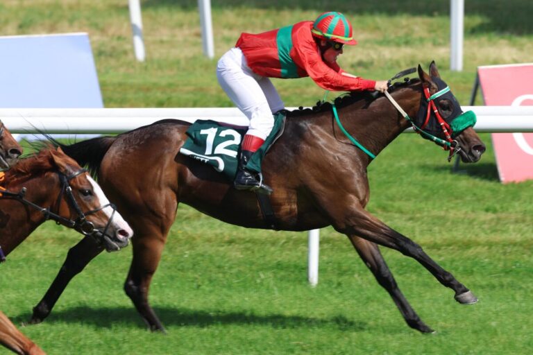 Toto fällt um, Dreierwette nicht getroffen – Maharani im Amateur Cup