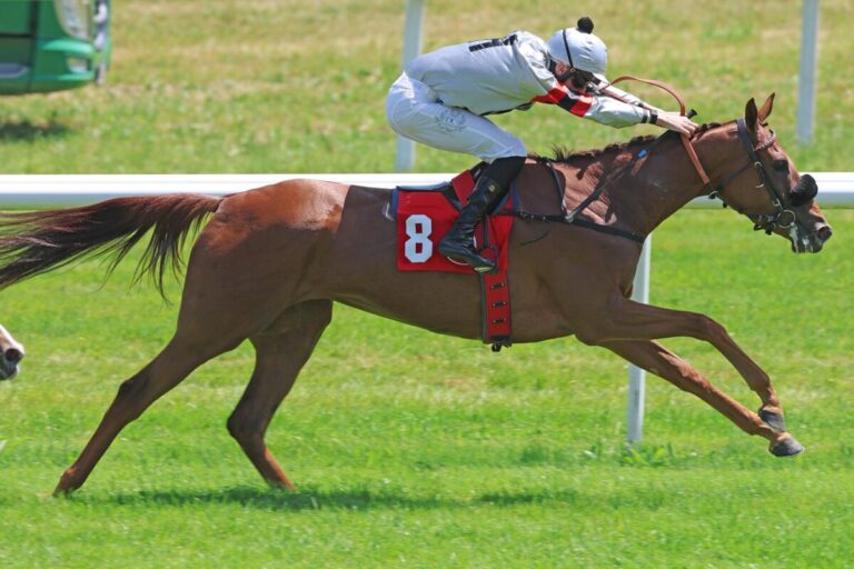 Neun Vorstarterinnen im Diana-Trial – Zweimal Option Oaks d’Italia