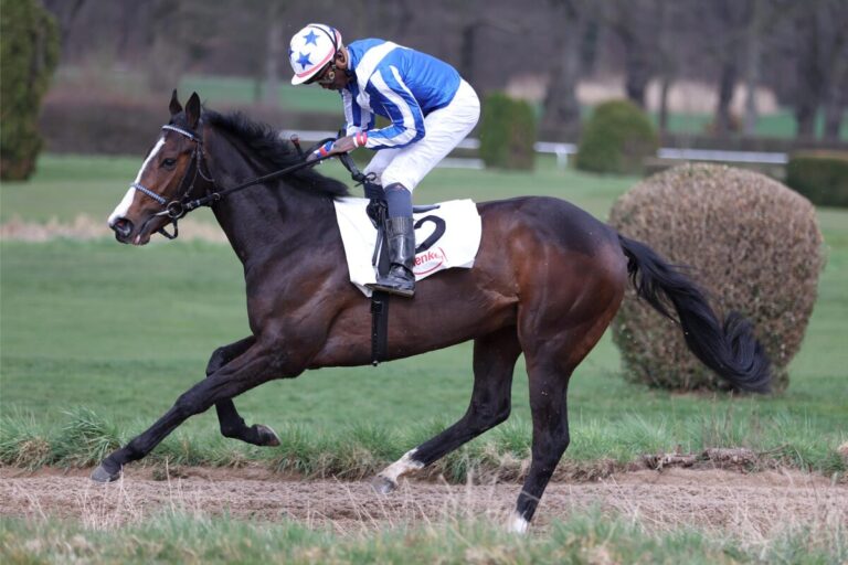 Trendbarometer zu 2000 Guineas – Zwei kleine Überraschungen!