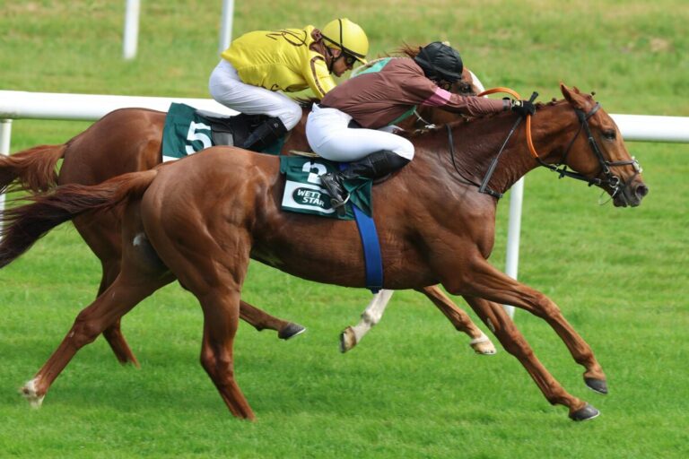 Nairo boxt Rocky weg – Nina Baltromei vom letzten Platz
