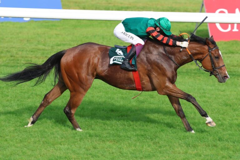 Ricupa reißt aus und alle gucken – Nordstream düpiert die Favoriten