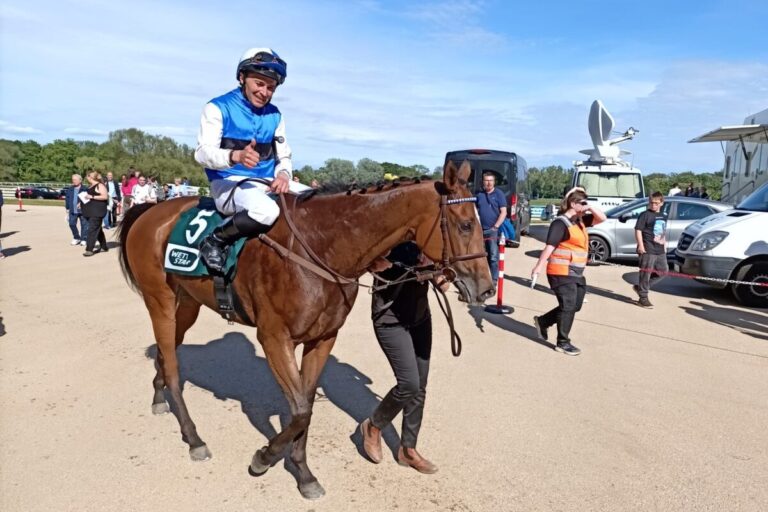 Sieg gegen Tamino – Pik Dame ist Trumpf in Favoriten-Zweierwette