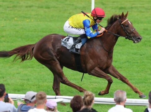 Royal Spirit siegt unter Adrie de Vries