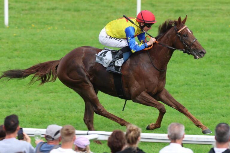 Highlights am Derbysonntag: Zweimal viel Geld in Auktionsrennen