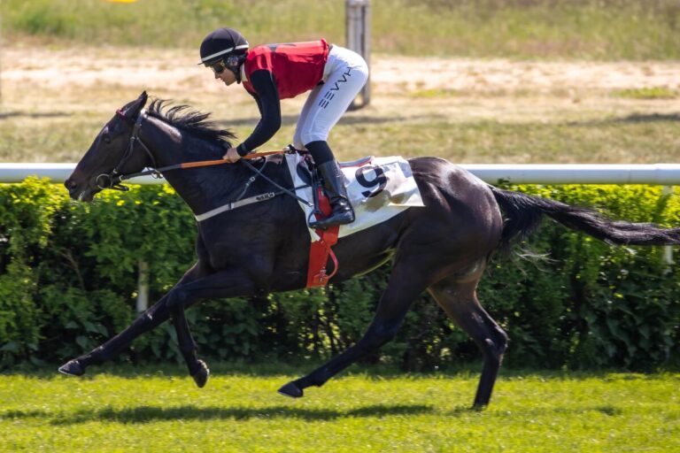 Solo Sunny siegt unter Lilli-Marie Engels