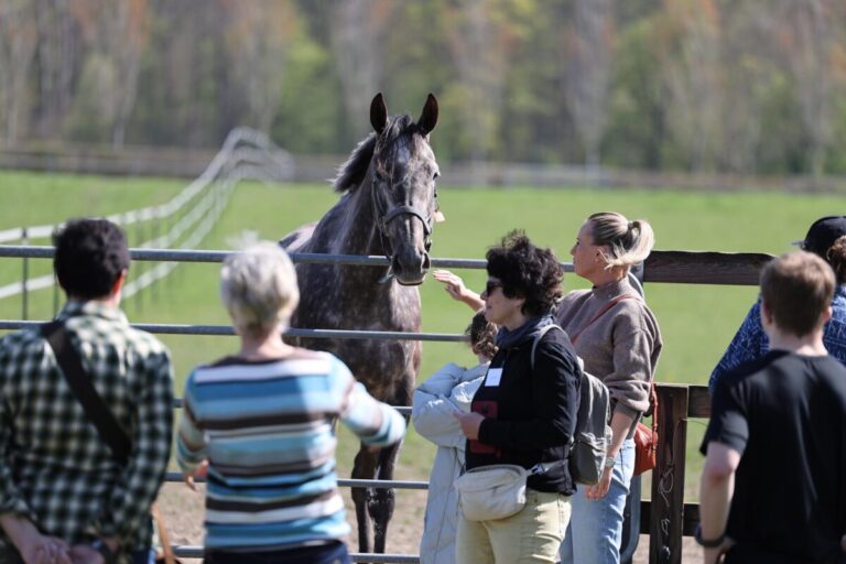 Tag der Rennställe 2025 – Die Bilanz und knapp 1.900 Euro Spende