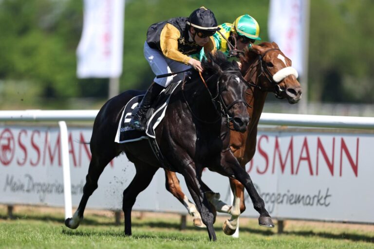Damarso erster Sieger für Bocskai im neuen Quartier