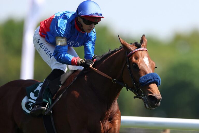 Am Mittwoch: Das beste Ding der Grossen Woche?