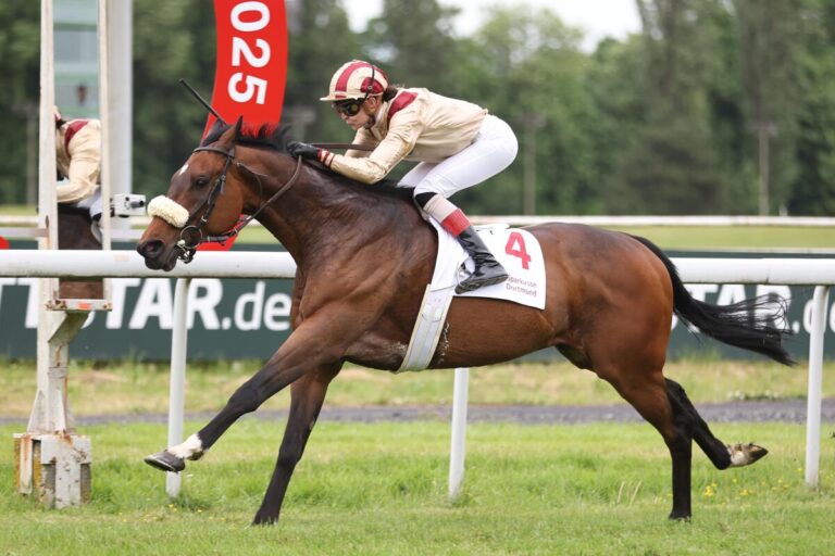 Malacova mal zwei: Auch Luzum bekommt perfekten Ritt serviert