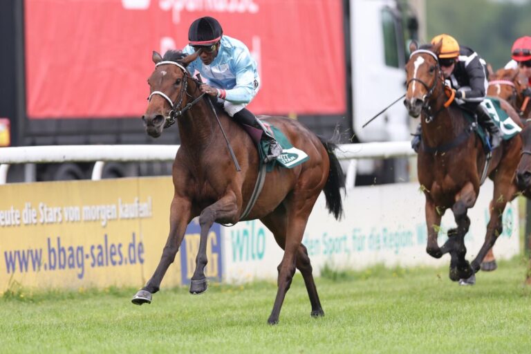 Wöhler weiter „on fire“ – Near Rib siegt beim Rennbahneinstand