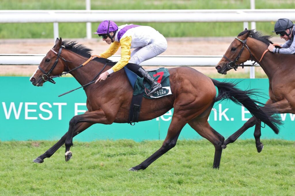 German 1000 Guineas – Nur noch vier deutsche Stuten im Rennen ...