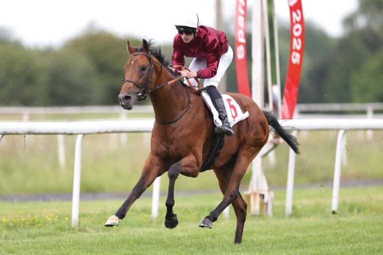 Schiergen siegt für Schiergen – Nächster Halt die „Union“?