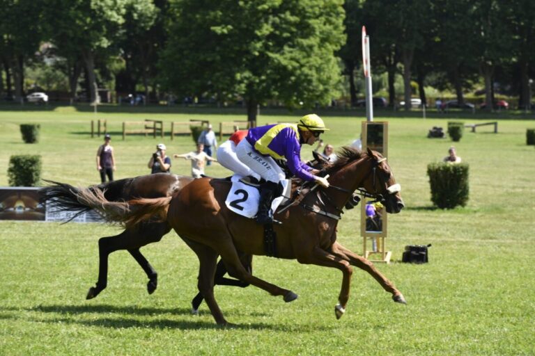 Wenn zwei sich streiten… Aerion bezwingt die Favoriten