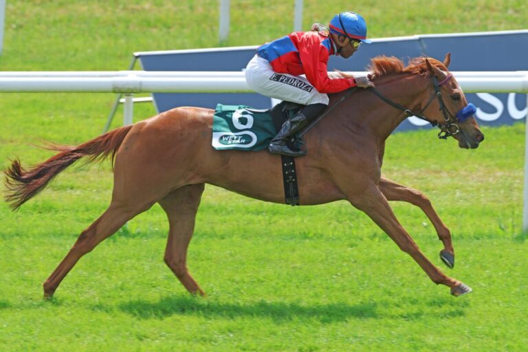 Wöhlers Mumm sitzt: Almenkönig bringt den Besitzer zum Jodeln