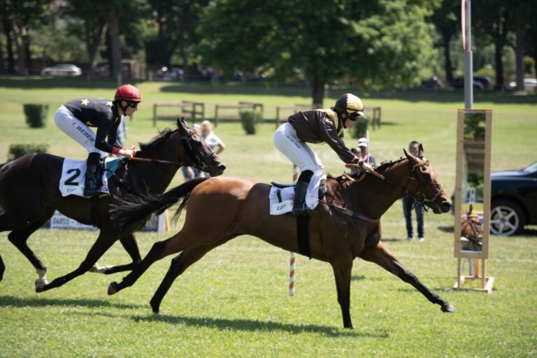Reckes Artistic Mission eröffnet den Renntag in Zweibrücken