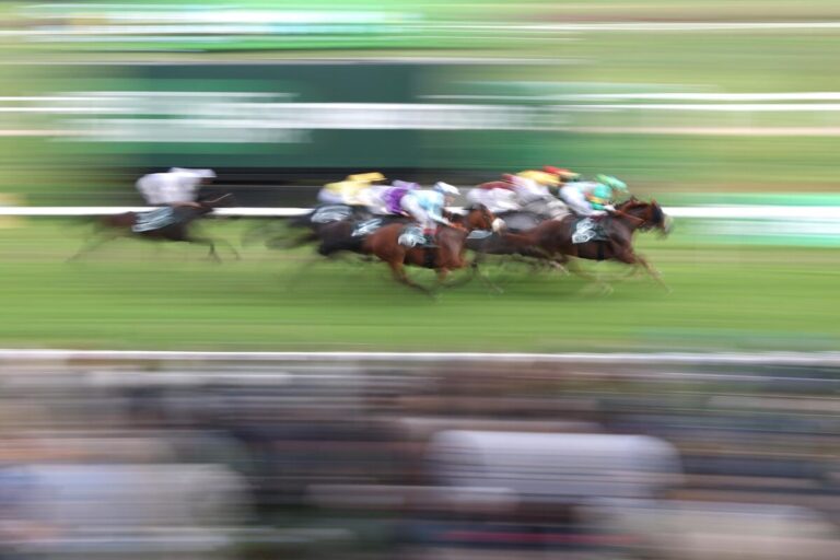 Bis morgen abstimmen für den Ritt des Monats November 2025